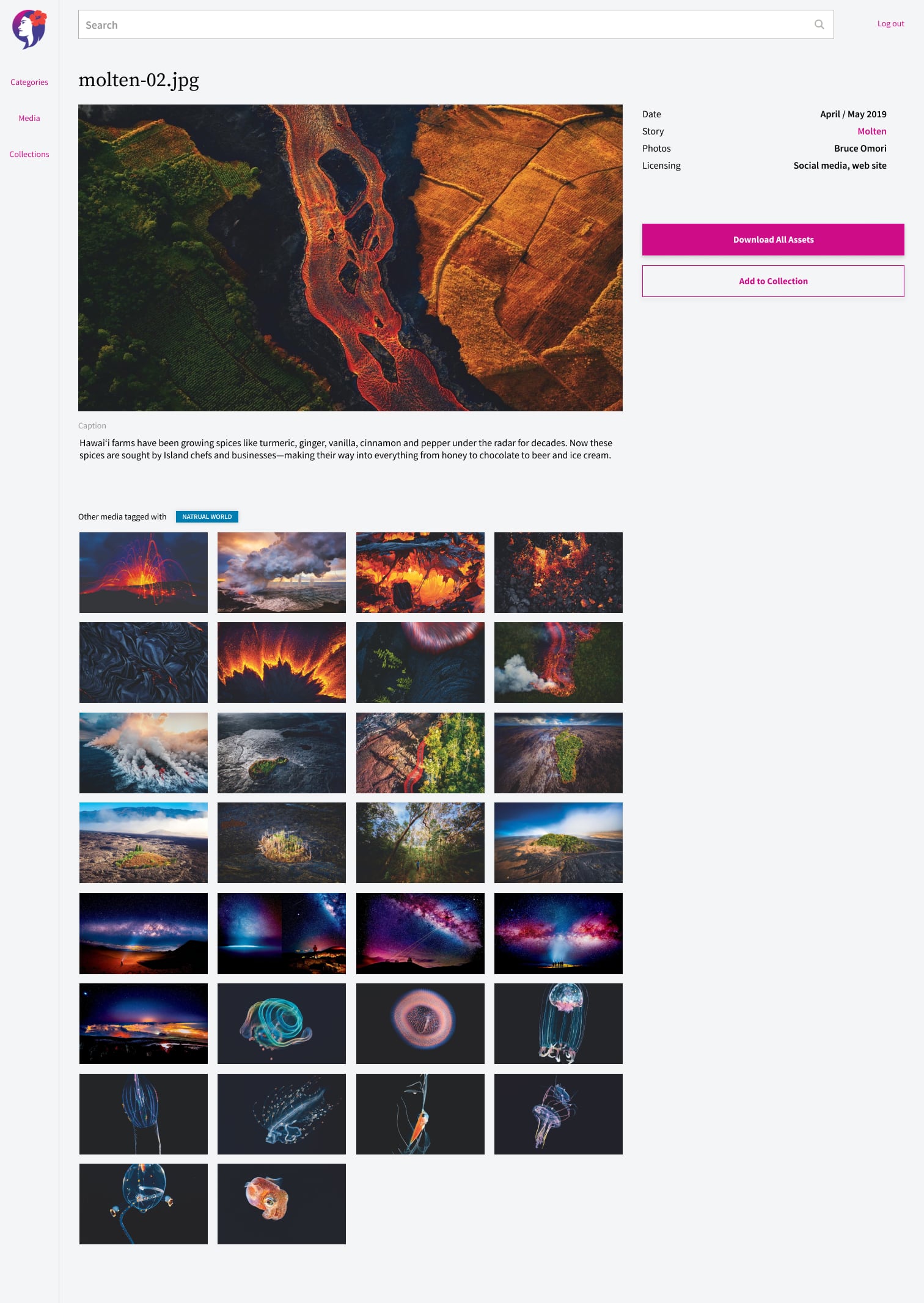 Media Details: Molten photo